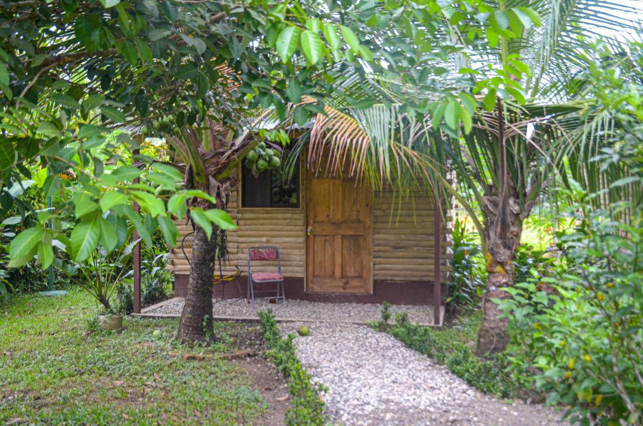 Hospedaje Y Alojamiento Cabanas Don Beto La Palma Exterior foto